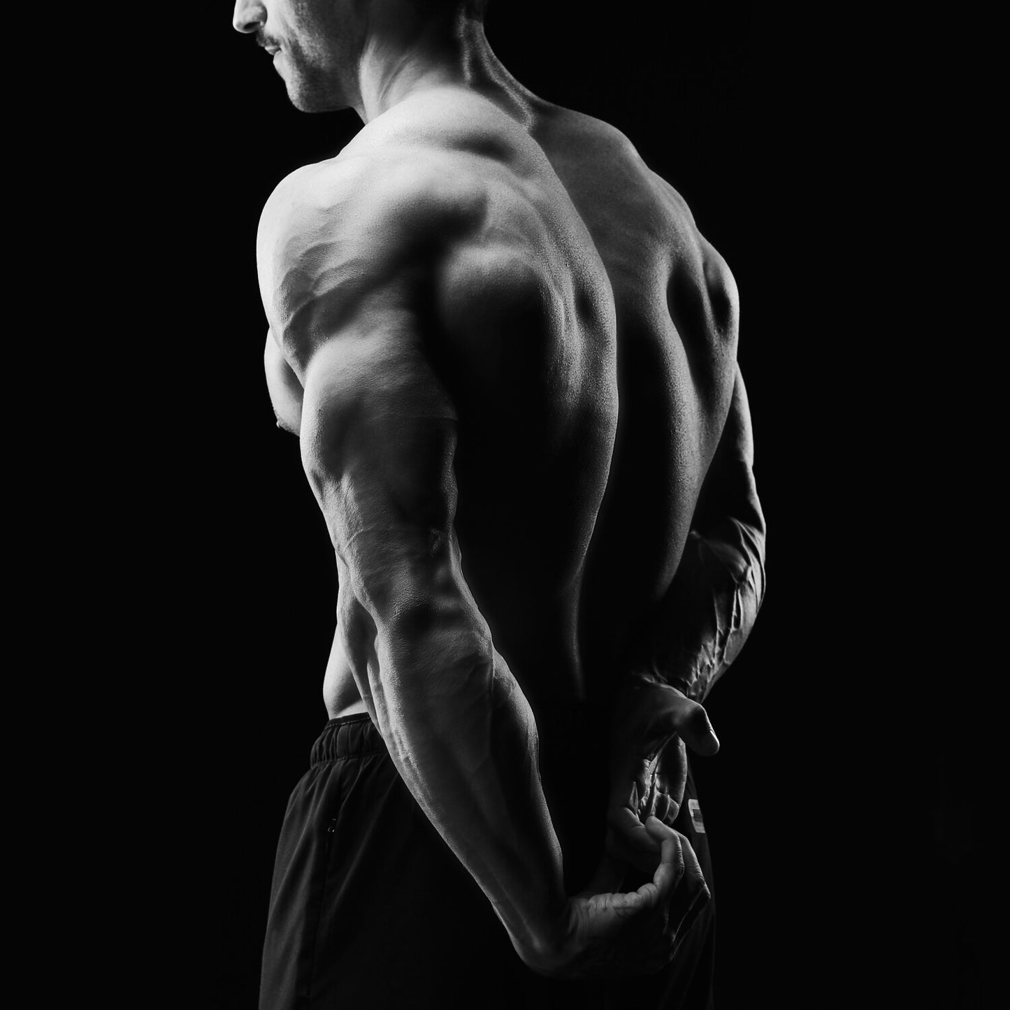 Acetil L-carnitina 90 cápsulas