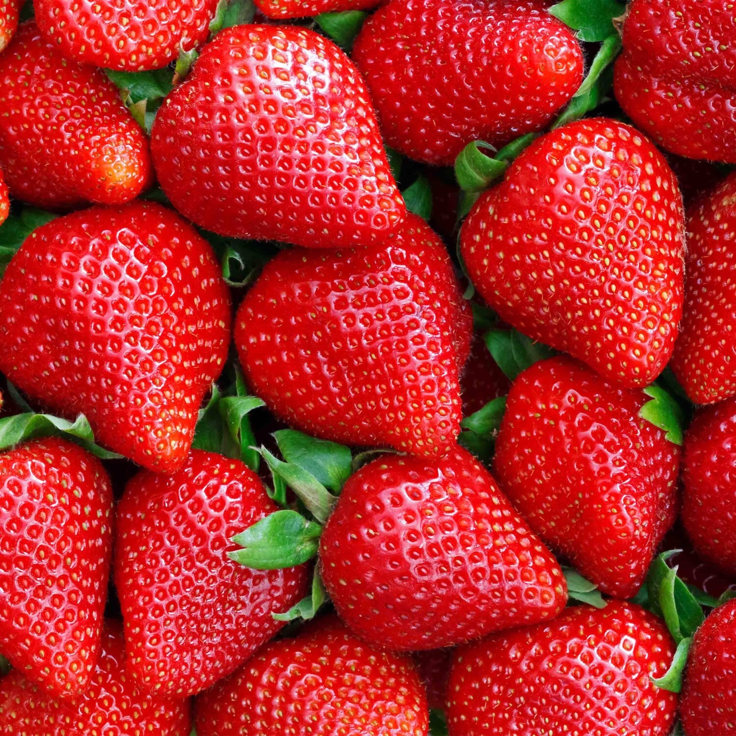 Proteina 100% Whey Hydro Isolate Zero 1.7 Lb