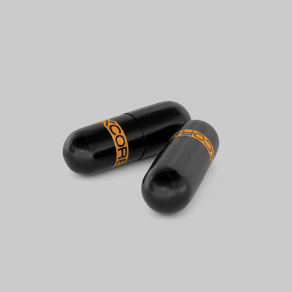 Acetil L-carnitina 90 cápsulas