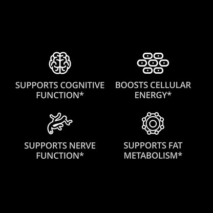 Acetil L-carnitina 90 cápsulas