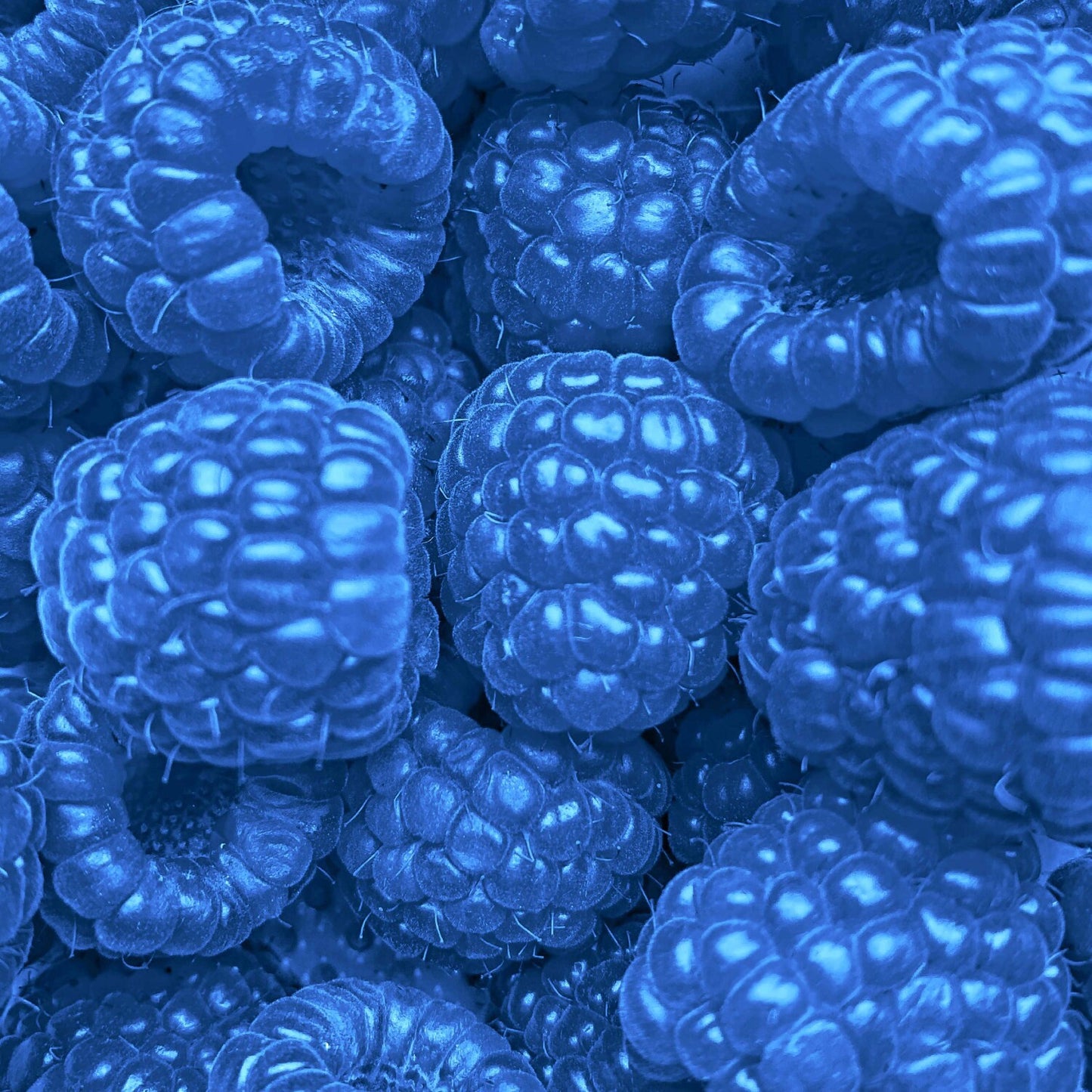 TesToid 26 servicios