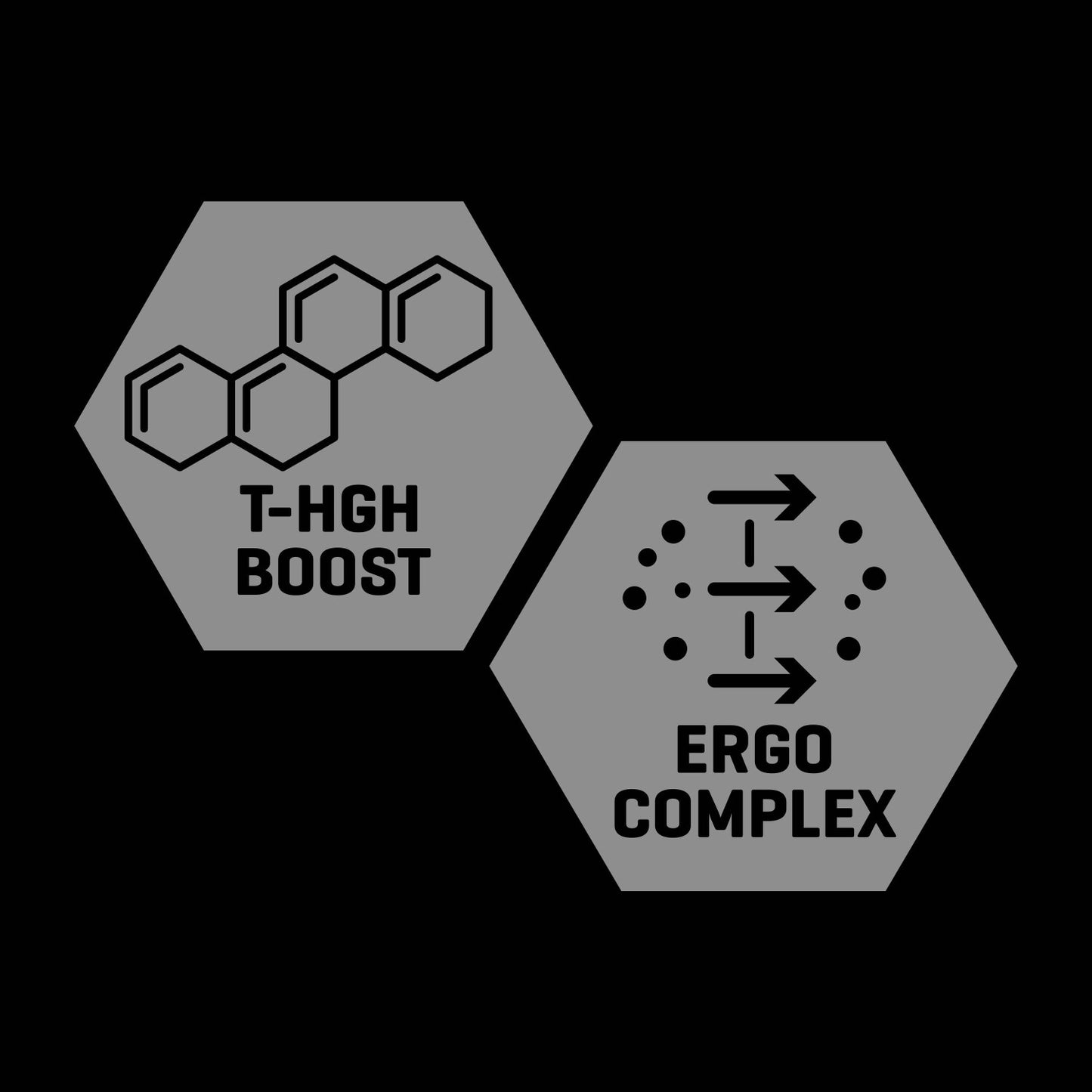 TesToid 26 servicios