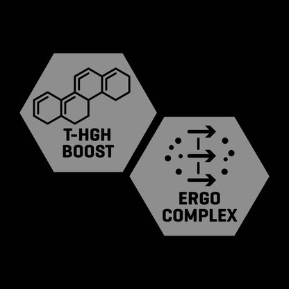 TesToid 26 servicios