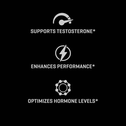 TesToid 26 servicios