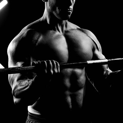 TesToid 26 servicios