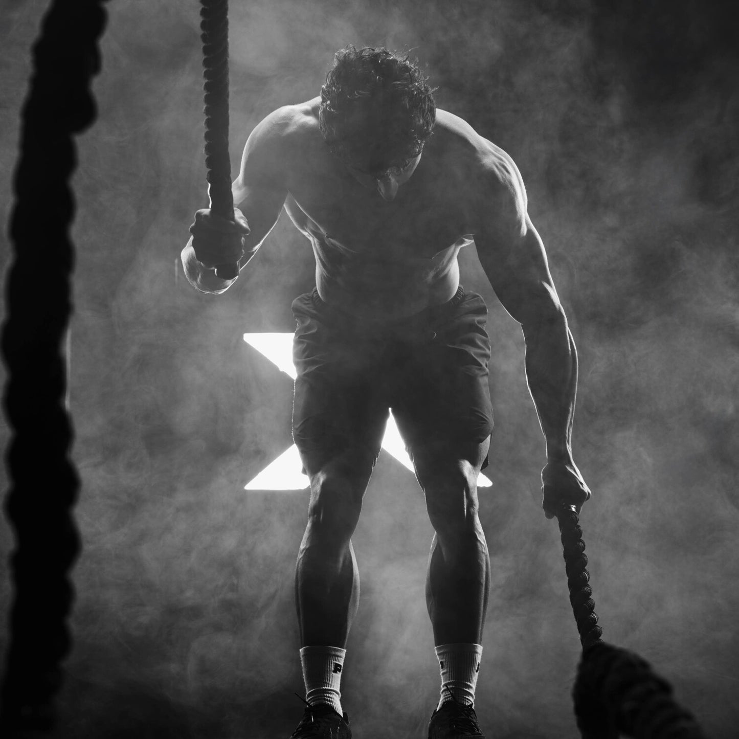 TesToid 26 servicios